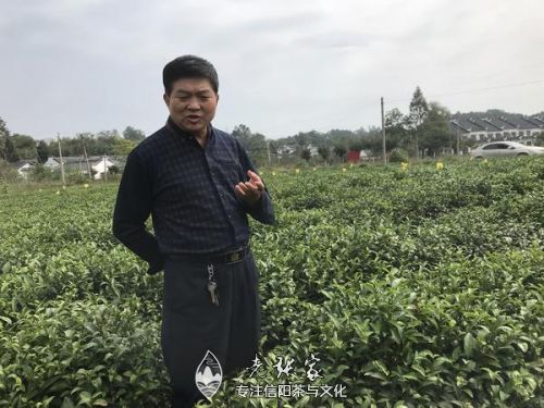 老张家