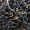 信阳红茶
